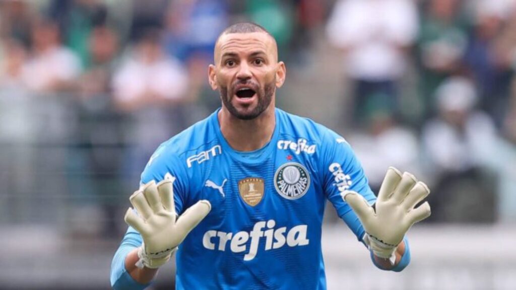 (Foto: Cesar Greco/Palmeiras)