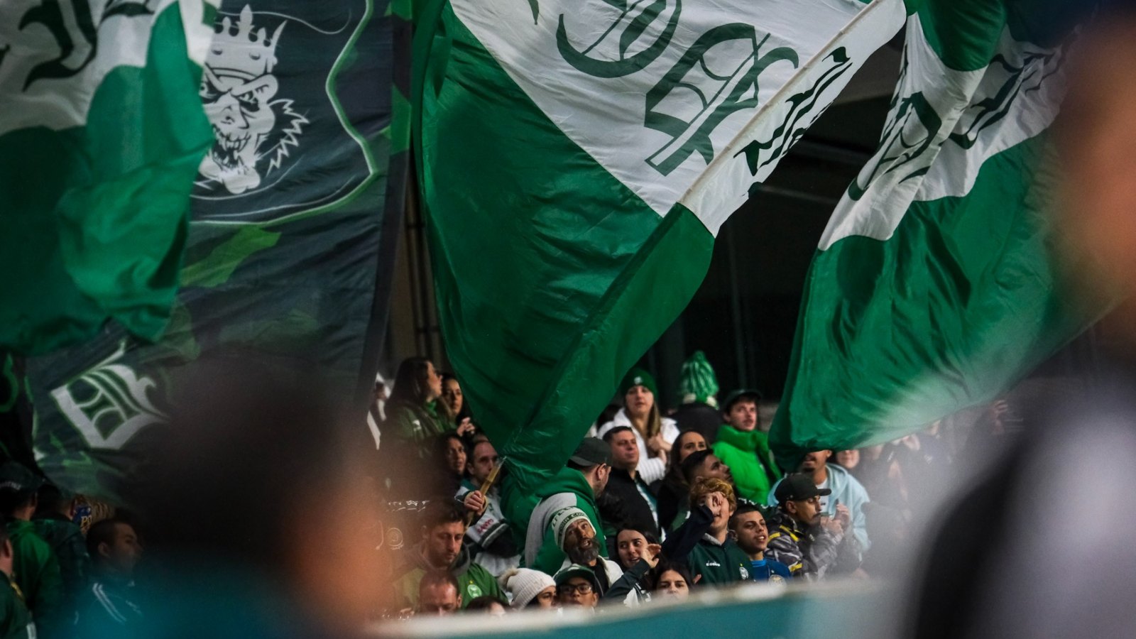 Coritiba tem torcida de volta (Foto: Gustavo Oliveira/Coritiba)