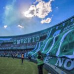 Saiba onde assistir Paysandu x Coritiba (Foto: Reprodução/Redes Sociais)