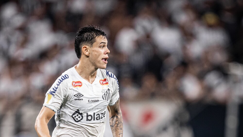 Foto: Raul Baretta/ Santos FC