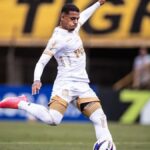 Coritiba contrata Renato Marques do Mirassol